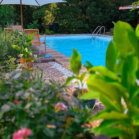 Traumwohnung In Der Galerie, Kunst, Garten, Pool Apartman